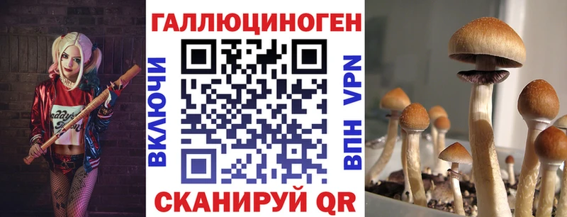 Галлюциногенные грибы Magic Shrooms  Ртищево 