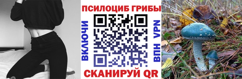 Галлюциногенные грибы мицелий Ртищево